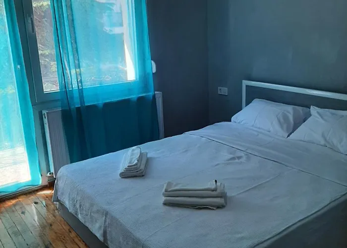 Eleni's 卡斯托里亚